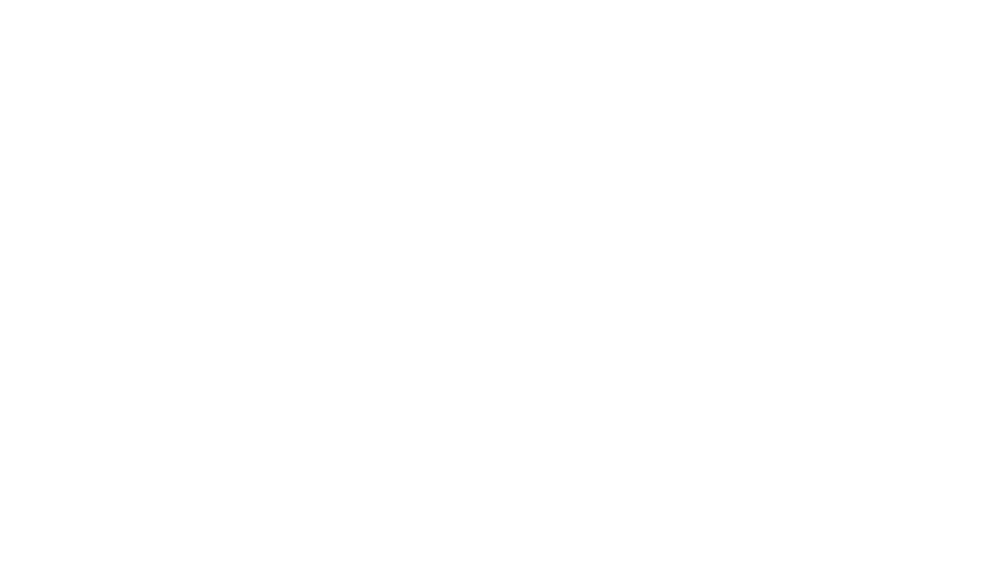 Pneu RA-MI